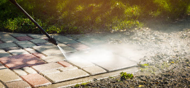 Best Roof Cleaning and Mildew Removal in Elbow Lake, MN
